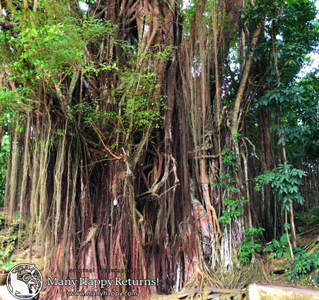 �p���[�X�g�[���y���_���g