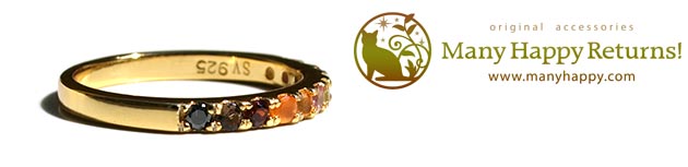 �p���[�X�g�[���W���G���[