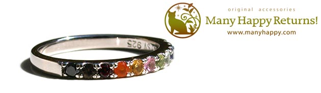 �p���[�X�g�[���W���G���[