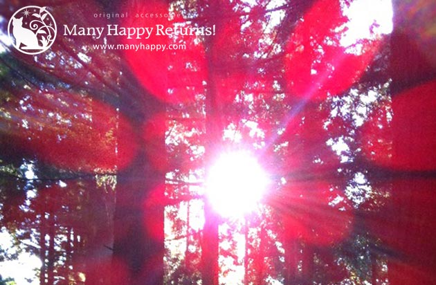 �������[�I�C��