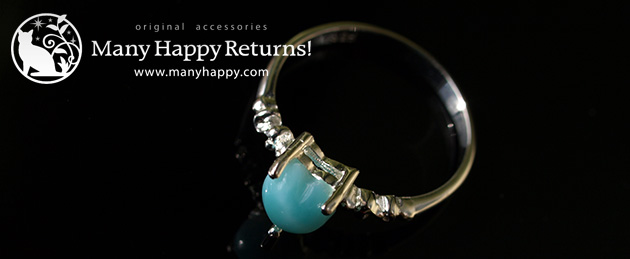 �p���[�X�g�[�������O