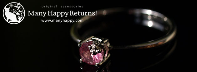 �p���[�X�g�[�������O