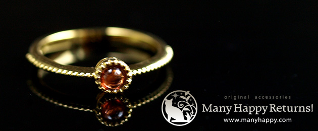 �p���[�X�g�[�������O