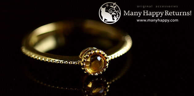 �p���[�X�g�[�������O