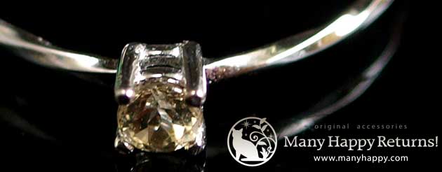 �p���[�X�g�[�������O