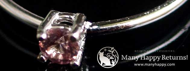 �p���[�X�g�[�������O