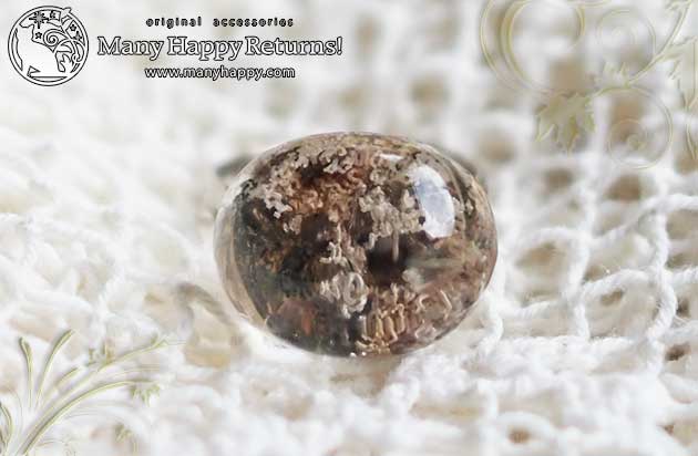 �p���[�X�g�[�������O