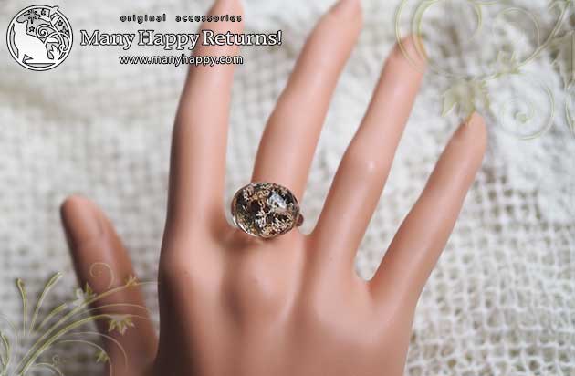 �p���[�X�g�[�������O