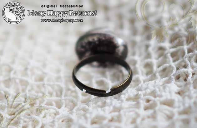 �p���[�X�g�[�������O