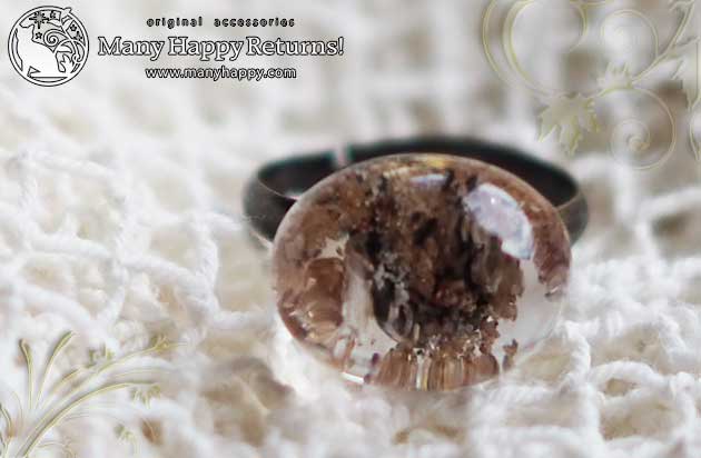 �p���[�X�g�[�������O